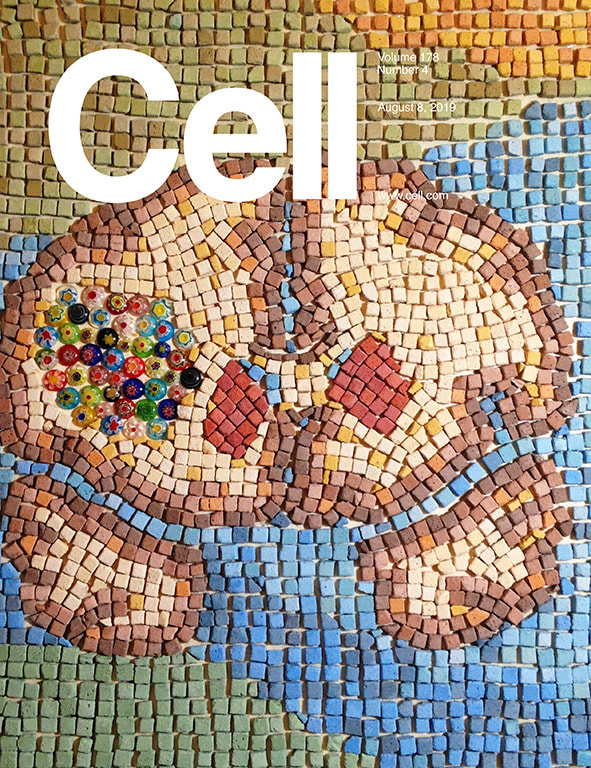 CELL Cover